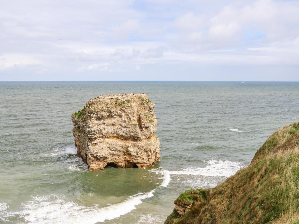 Sea View Cottage جنوب شيلْدْز المظهر الخارجي الصورة